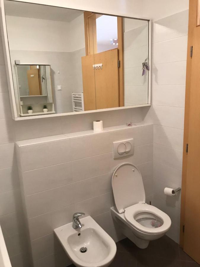 Apartment Angela With Private Garage Slot PUY 외부 사진